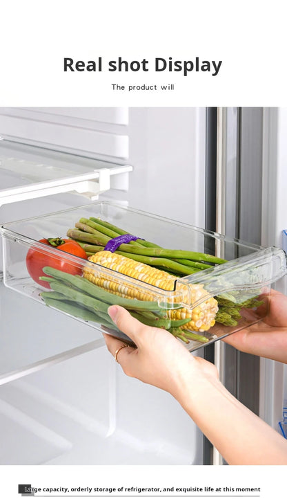 Egg Storage Box