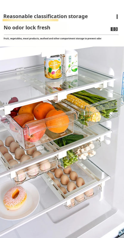 Egg Storage Box